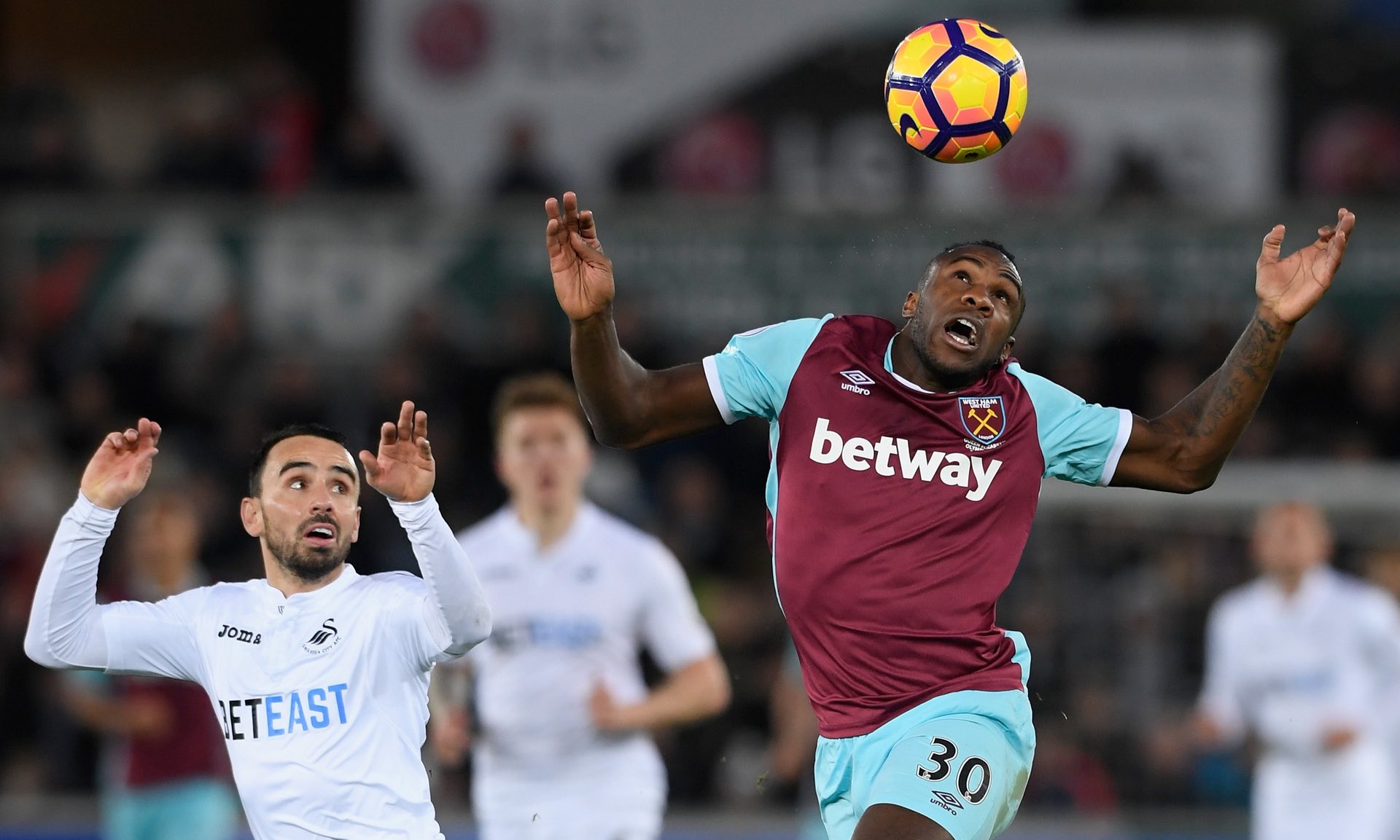 性至关重要 性至关重要